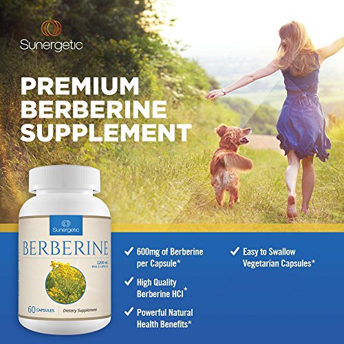 Premium Berberine Supplement -1,200 mg of Berberine Per Serving Non-GMO Berberine HCI Supplement- Powerful Berberine Health Formula - 60 Berberine Capsules