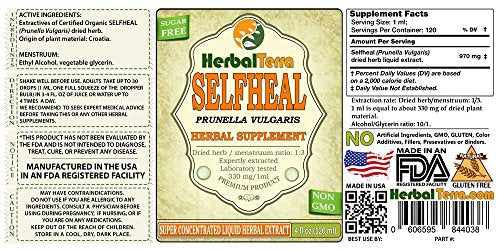 Selfheal (Prunella Vulgaris) Tincture, Organic Dried Herb Liquid Extract (Brand Name: HerbalTerra, Proudly Made in USA) 4 fl.oz (120 ml)