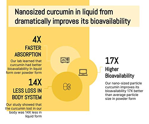 NANOCUMIN Super Food Curcumin Nano-Cumin Liquid Type (High Absorption Liquid Turmeric) (32ea)