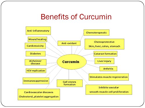 Nano Curcumin - 60 Caps - 500 mg