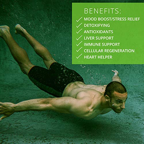 Activation Products Oceans Alive Marine Phytoplankton - Pure Phytoplankton Supplement Boosts Mind and Energy - Ultimate Contaminant Free Superfood, 30ml