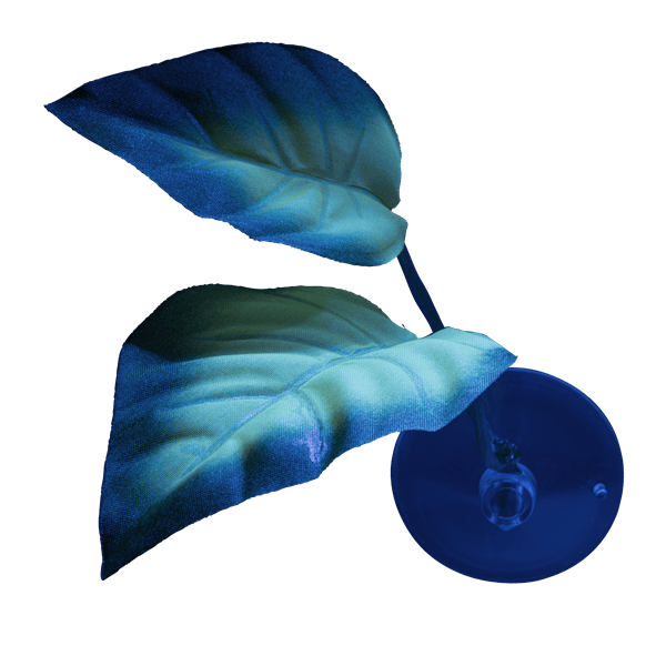 GloFish Betta Leaf