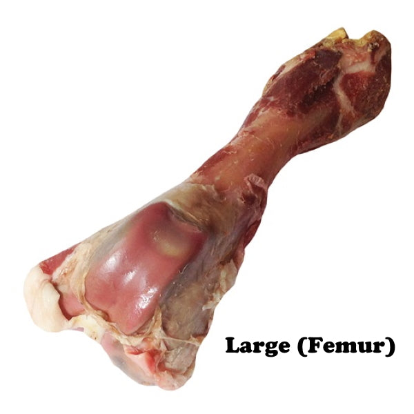 Dogit Charcuterie Prosciutto Bone for Dogs